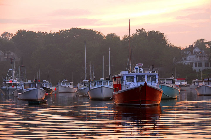 fishing boats in a cove along the Maine coastline