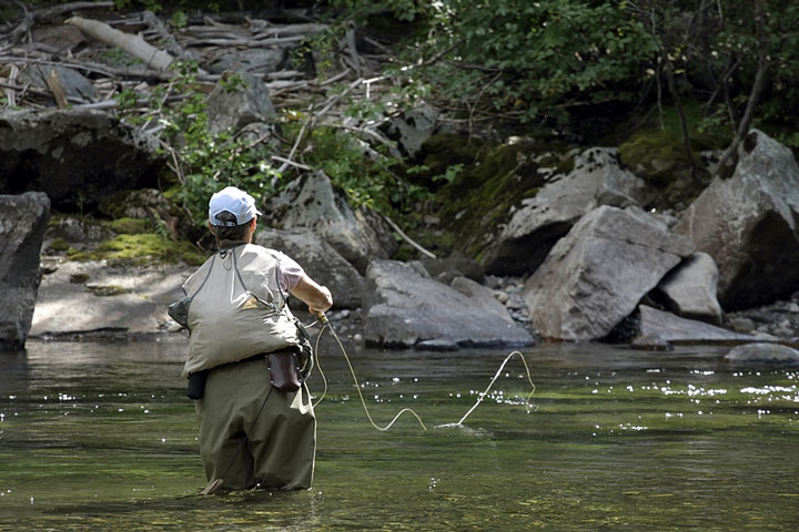 fly fishing in a Montana mountain stream